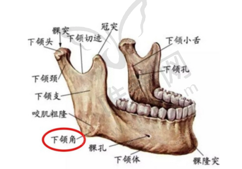广州注射隆鼻医院选择建议