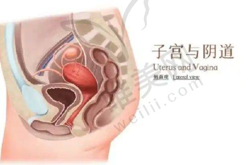 选择湖州林华整形的理由总结