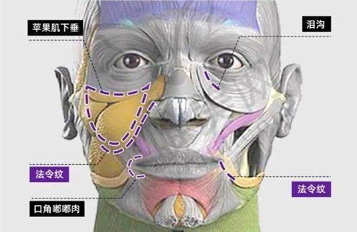 北京联合丽格第1医疗美容医院——优质筋膜提升之选
