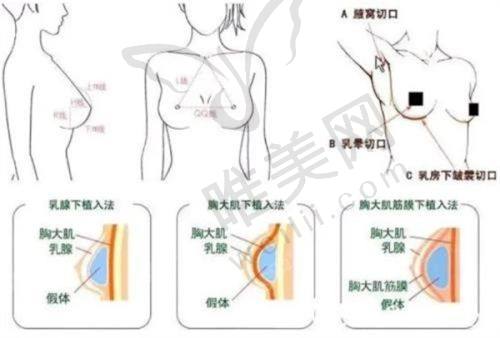 总结建议
