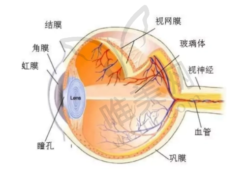 沧州爱尔眼科医院地址与营业时间