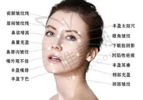 西安濡白天使针多少钱一支