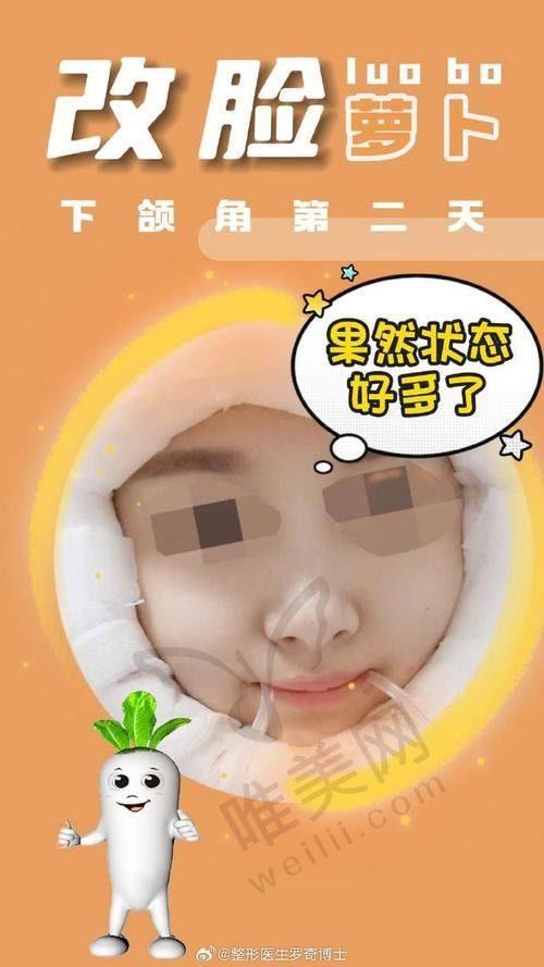 总结建议