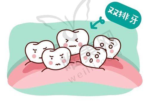 各机构特色项目解析