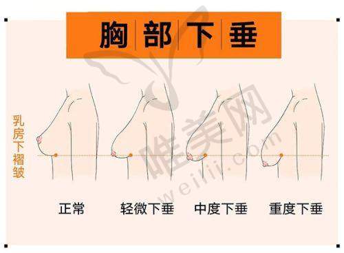 6、廊坊维恩医疗美容诊所收费价格表/收费标准