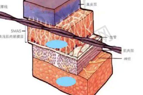 8、石家庄蓝山医疗美容医院详细的预约挂号方式及流程