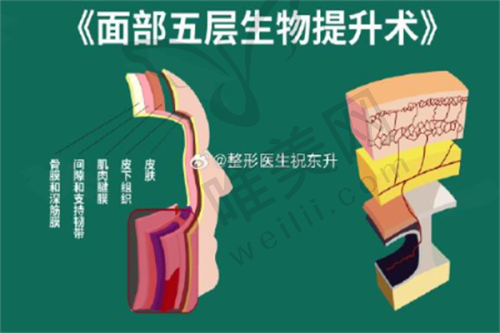 3、保定悦美医疗美容医院简介概述
