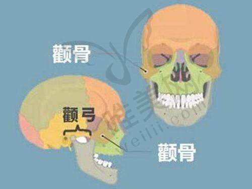3、佳木斯王紫薇医疗美容诊所简介概述