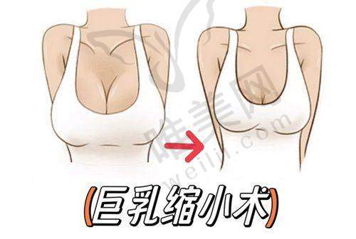 3、厦门兰兰里医疗美容诊所简介概述