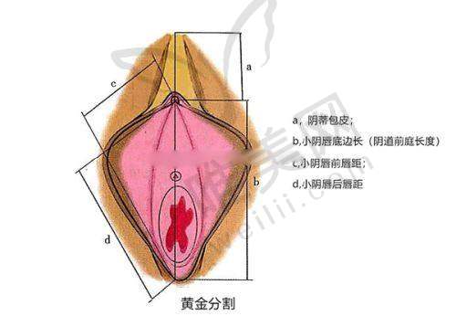 李在郁医生在哪家医院出诊?揭晓北京漾格李在郁医生在线询问方法