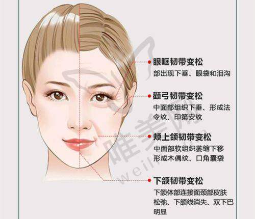 4、北京雍禾美度医疗门诊部特色项目及技术优势