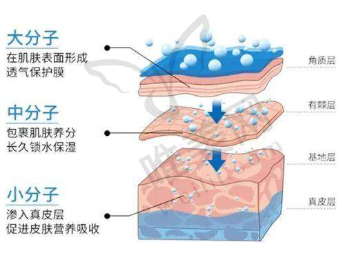 2、北京蝴蝶汇整形医院是正规医院吗？