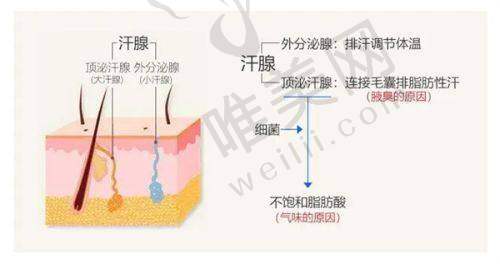 4、保定悦美医疗美容医院特色项目及技术优势