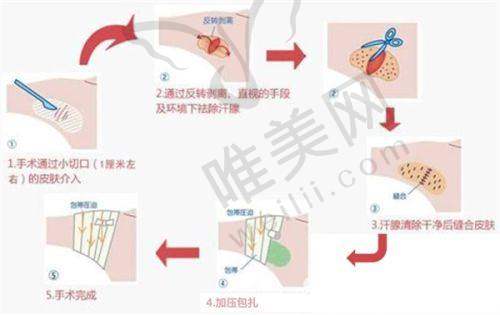 3、石家庄蓝山医疗美容医院简介概述