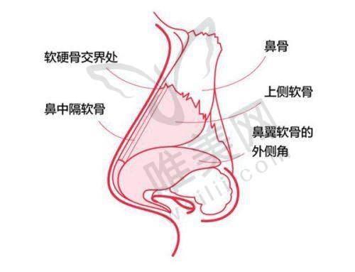 9、广州佳俪医疗美容门诊部真人口碑评价怎么样？