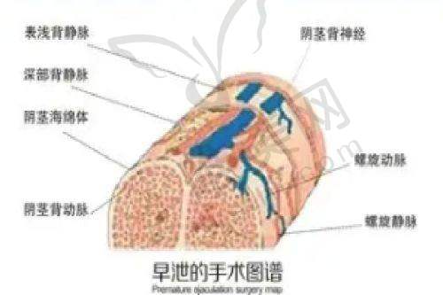 7、郑州第二中医院地址电话营业时间