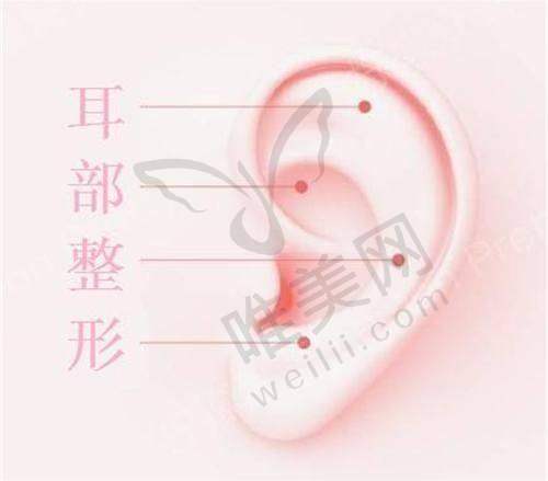 西安美莱整形价格贵吗？揭秘医院热门项目收费，医生技术与价格匹配度大起底