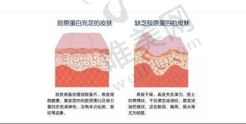 3、南宁芭芘丽医疗美容门诊简介概述
