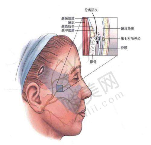 2、上海首尔丽格整形美容医院是正规医院吗？