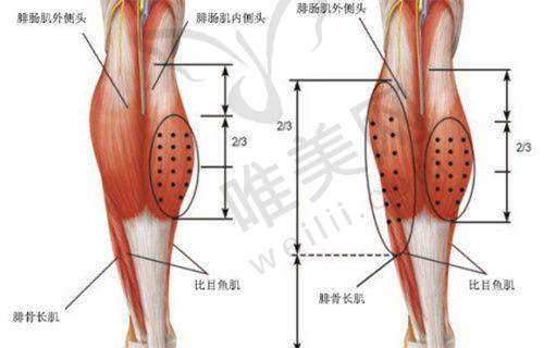 8、北京大学第三医院男科详细的预约挂号方式及流程