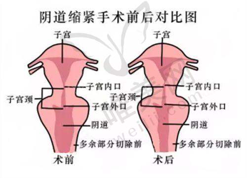 8、九龙男科医院详细的预约挂号方式及流程