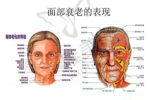 5、北京美和眼科医院医生团队实力强大及骨干医生简介