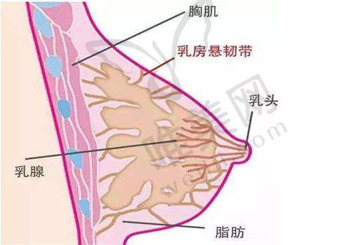 9、北京联合丽格第二医疗美容医院真人口碑评价怎么样？