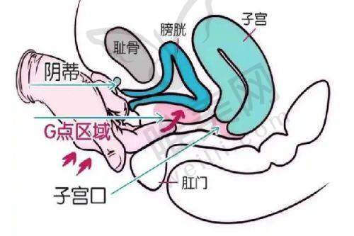 2、郑州佑尔美医疗美容门诊部是正规医院吗？