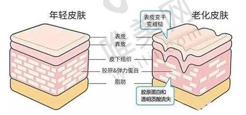 8、二七元素秋野医疗美容门诊部详细的预约挂号方式及流程