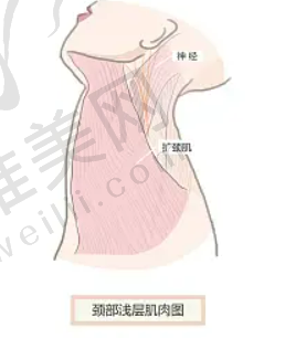 广州GD**网红整形美容中心