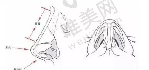 王良发医生鼻整形技术怎么样? 王良发医生鼻整形技术怎么样?